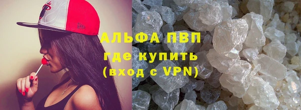 дмт Богданович