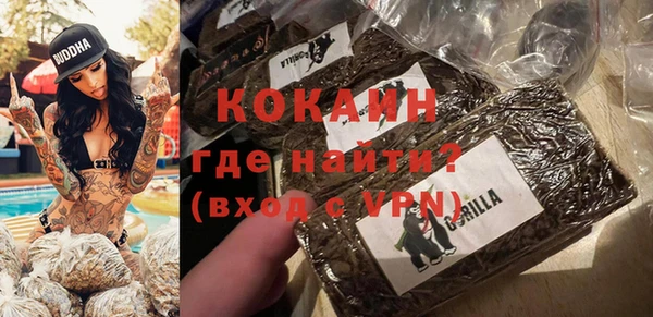 сатива Белокуриха