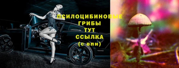 дмт Богданович