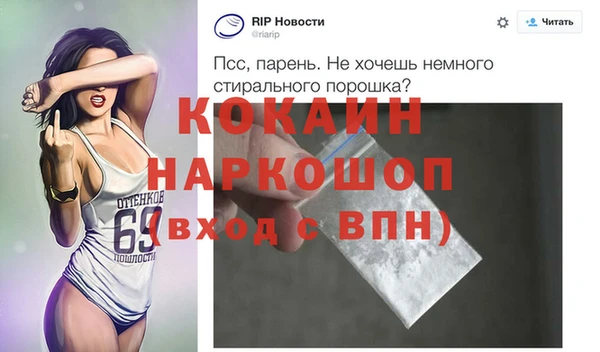 дмт Богданович