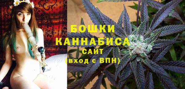 сатива Белокуриха
