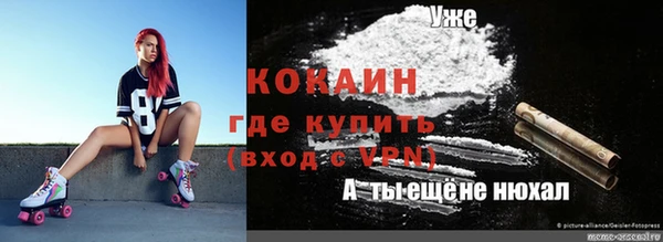 сатива Белокуриха