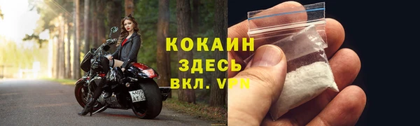 сатива Белокуриха