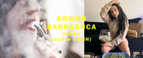 сатива Богородск