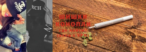 сатива Белокуриха