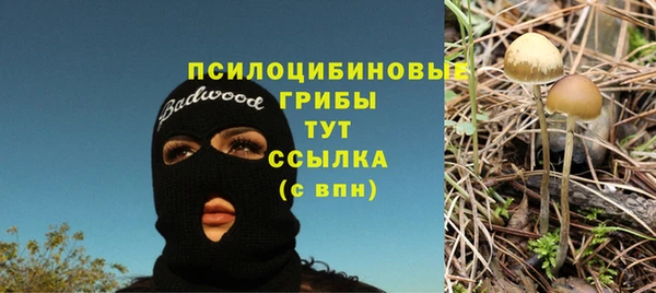сатива Богородск