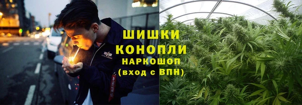 сатива Богородск