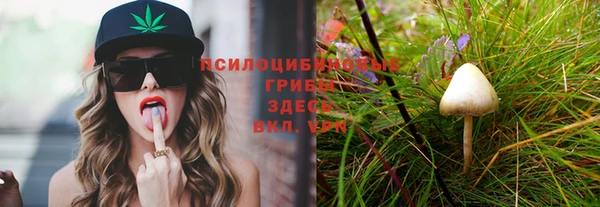 первитин Белоозёрский