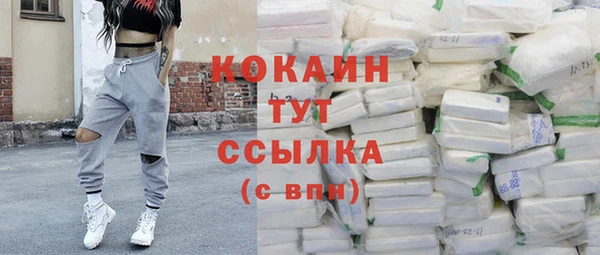 дмт Богданович