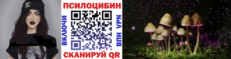 Псилоцибиновые грибы Psilocybe Кушва