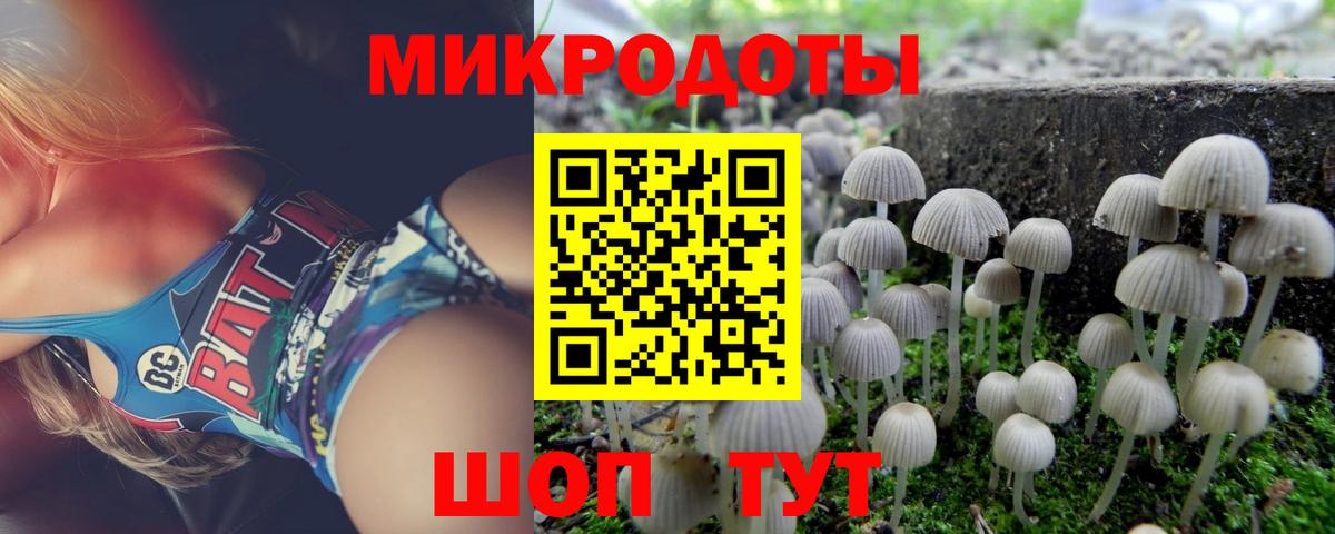Псилоцибиновые грибы прущие грибы  Вход с VPN  Кушва 